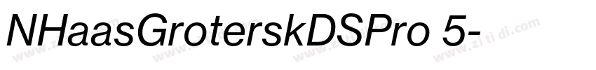 NHaasGroterskDSPro 5字体转换 NHaasGroterskDSPro 5字体转换